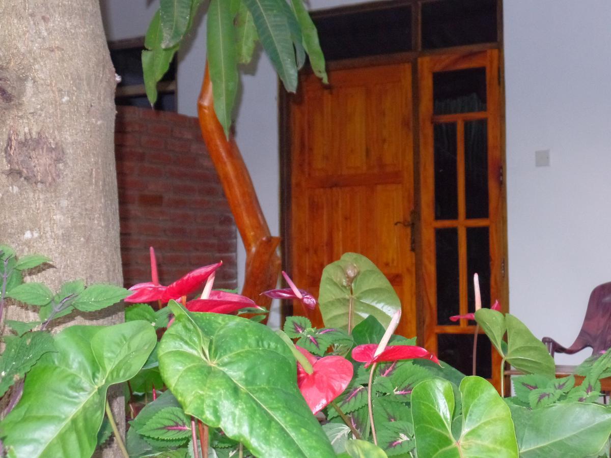 Amaya River Side Homestay Sigiriya Exterior foto